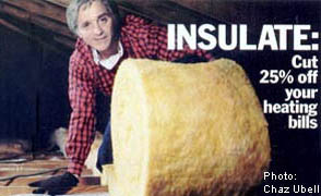 Image by Chaz Ubell: Home Insulation